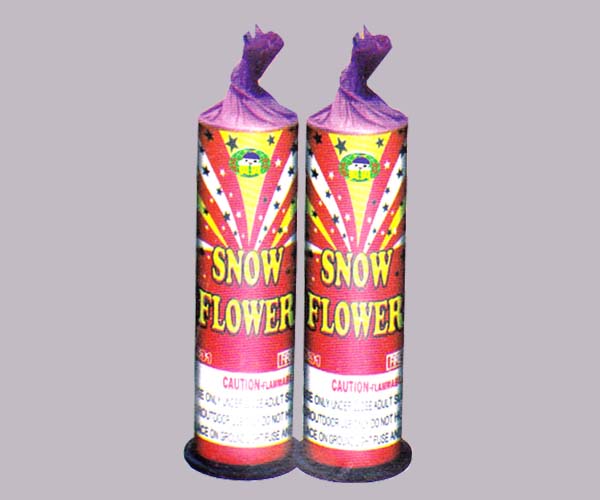 Snow Flowers