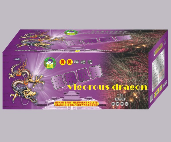 142S  vigorous dragon